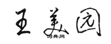 駱恆光王美園行書個性簽名怎么寫