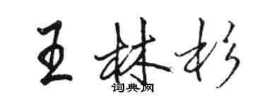 駱恆光王林杉行書個性簽名怎么寫