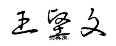 曾慶福王堅文草書個性簽名怎么寫