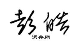朱錫榮彭皓草書個性簽名怎么寫