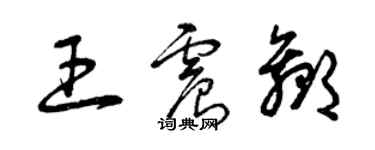 曾慶福王震贏草書個性簽名怎么寫