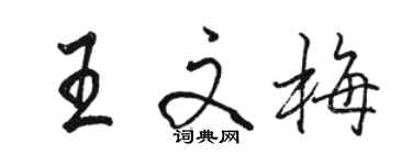 駱恆光王文梅行書個性簽名怎么寫