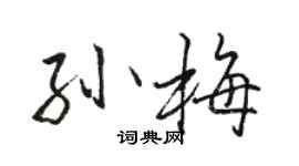 駱恆光孫梅行書個性簽名怎么寫