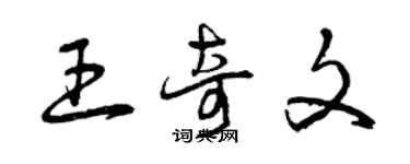 曾慶福王奇文草書個性簽名怎么寫