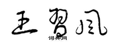 曾慶福王習風草書個性簽名怎么寫