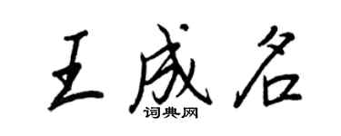 王正良王成名行書個性簽名怎么寫