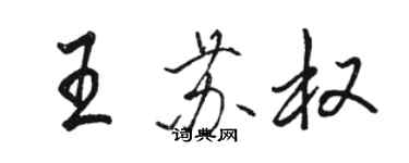 駱恆光王蘇權行書個性簽名怎么寫