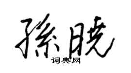 王正良孫曉行書個性簽名怎么寫