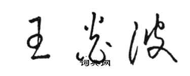 駱恆光王炎波草書個性簽名怎么寫