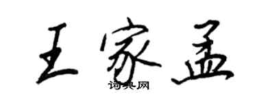 王正良王家孟行書個性簽名怎么寫