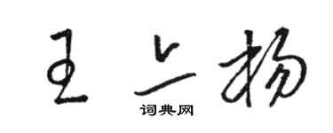 駱恆光王亦楊草書個性簽名怎么寫