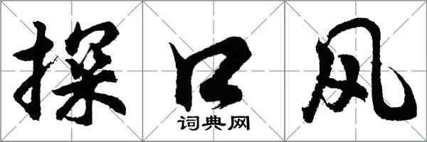 胡問遂探口風行書怎么寫