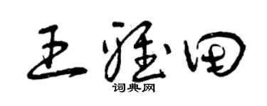 曾慶福王雅田草書個性簽名怎么寫