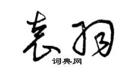 曾慶福袁羽草書個性簽名怎么寫