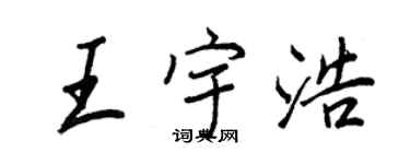 王正良王宇浩行書個性簽名怎么寫