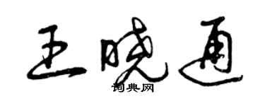 曾慶福王曉通草書個性簽名怎么寫