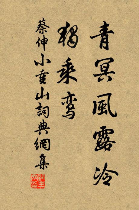 真箇是、疏枝瘦，認花兒、不要浪吟 詩詞名句