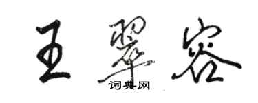 駱恆光王翠容行書個性簽名怎么寫