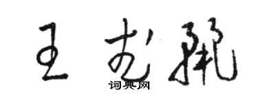 駱恆光王武麗草書個性簽名怎么寫