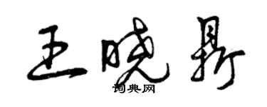 曾慶福王曉鼎草書個性簽名怎么寫