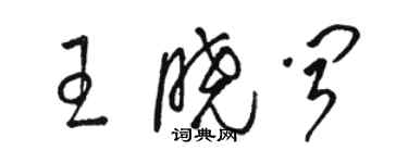 駱恆光王曉聞草書個性簽名怎么寫