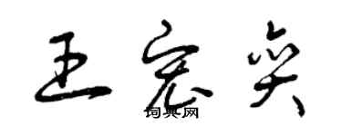 曾慶福王宏奕草書個性簽名怎么寫