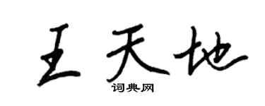 王正良王天地行書個性簽名怎么寫