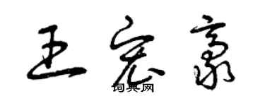 曾慶福王宏豪草書個性簽名怎么寫