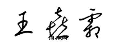 梁錦英王喜霜草書個性簽名怎么寫