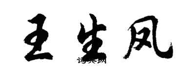 胡問遂王生鳳行書個性簽名怎么寫