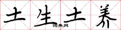 周炳元土生土養楷書怎么寫