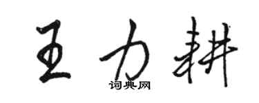 駱恆光王力耕行書個性簽名怎么寫