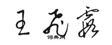 駱恆光王飛霞草書個性簽名怎么寫