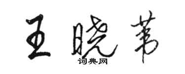 駱恆光王曉葦行書個性簽名怎么寫