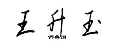 王正良王升玉行書個性簽名怎么寫