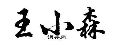 胡問遂王小森行書個性簽名怎么寫