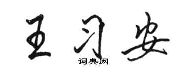 駱恆光王習安行書個性簽名怎么寫