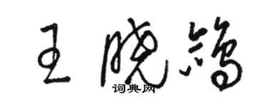 駱恆光王曉鴿草書個性簽名怎么寫