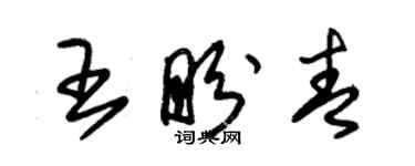 朱錫榮王盼青草書個性簽名怎么寫