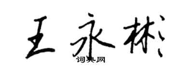 王正良王永彬行書個性簽名怎么寫