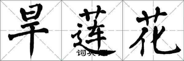 翁闓運旱蓮花楷書怎么寫