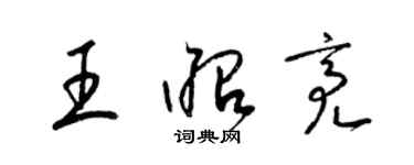 梁錦英王昭亮草書個性簽名怎么寫