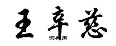 胡問遂王辛慈行書個性簽名怎么寫