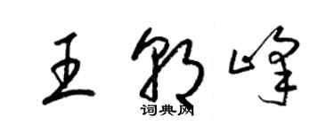 梁錦英王朝峰草書個性簽名怎么寫