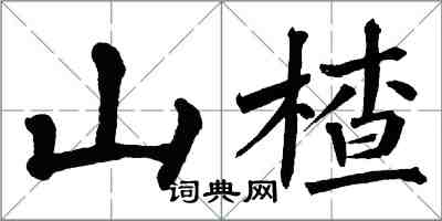 翁闓運山楂楷書怎么寫