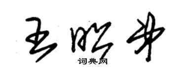 朱錫榮王昭弟草書個性簽名怎么寫