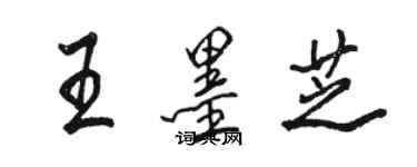 駱恆光王墨芝行書個性簽名怎么寫