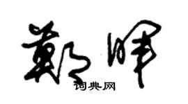 朱錫榮鄭暉草書個性簽名怎么寫