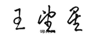 駱恆光王望星草書個性簽名怎么寫