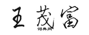 駱恆光王茂富行書個性簽名怎么寫